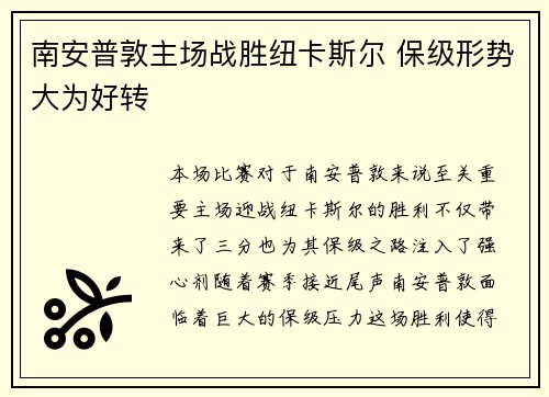 南安普敦主场战胜纽卡斯尔 保级形势大为好转